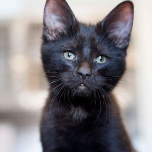 Meet your Posher, Tina